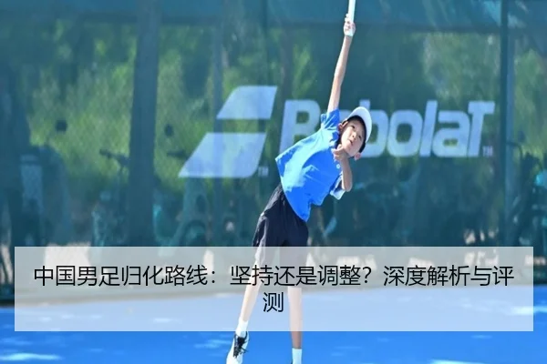 中国男足归化路线：坚持还是调整？深度解析与评测